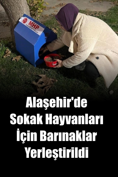 Alaşehir'de Sokak Hayvanları İçin Barınaklar Yerleştirildi