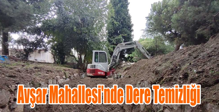 Avşar Mahallesi’nde Dere Temizliği