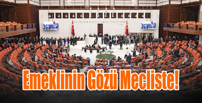 Emeklinin Gözü Mecliste!