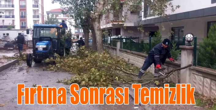 Fırtına Sonrası Temizlik