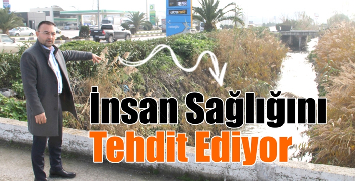 İnsan Sağlığını Tehdit Ediyor