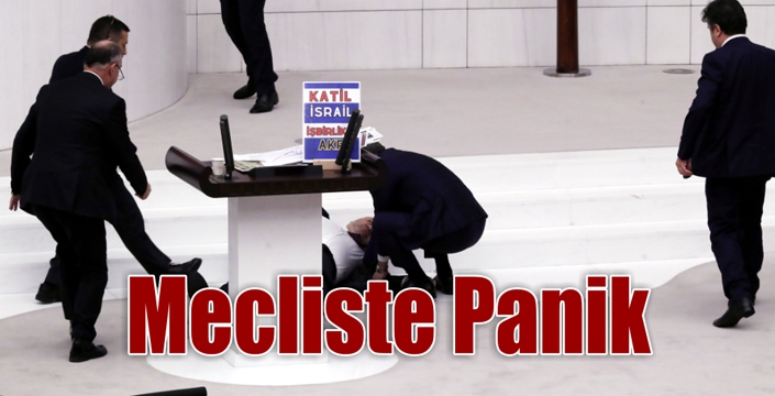 Mecliste Panik