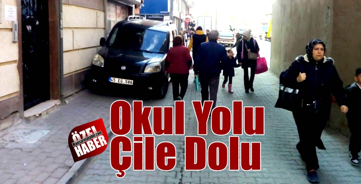 Okul Yolu Çile Dolu