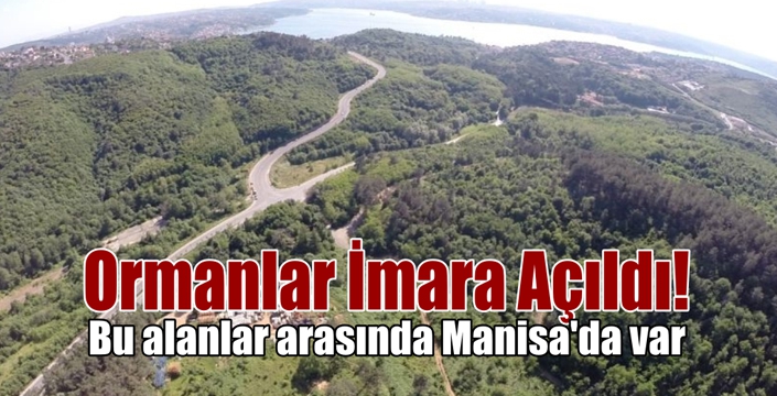 Ormanlar İmara Açıldı!