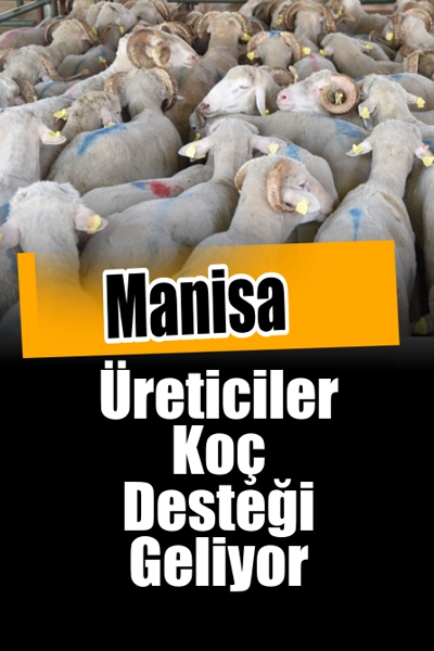 Üreticilere Koç Desteği Geliyor