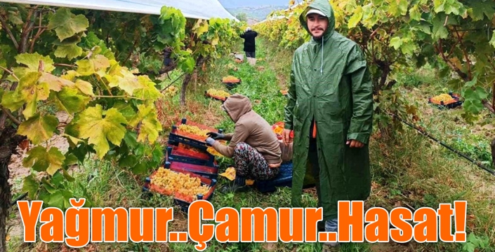 Yağmur..Çamur..Hasat!